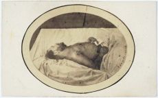 Kliknij aby zobaczyć obiekt pełnowymiarowy f041.jpg