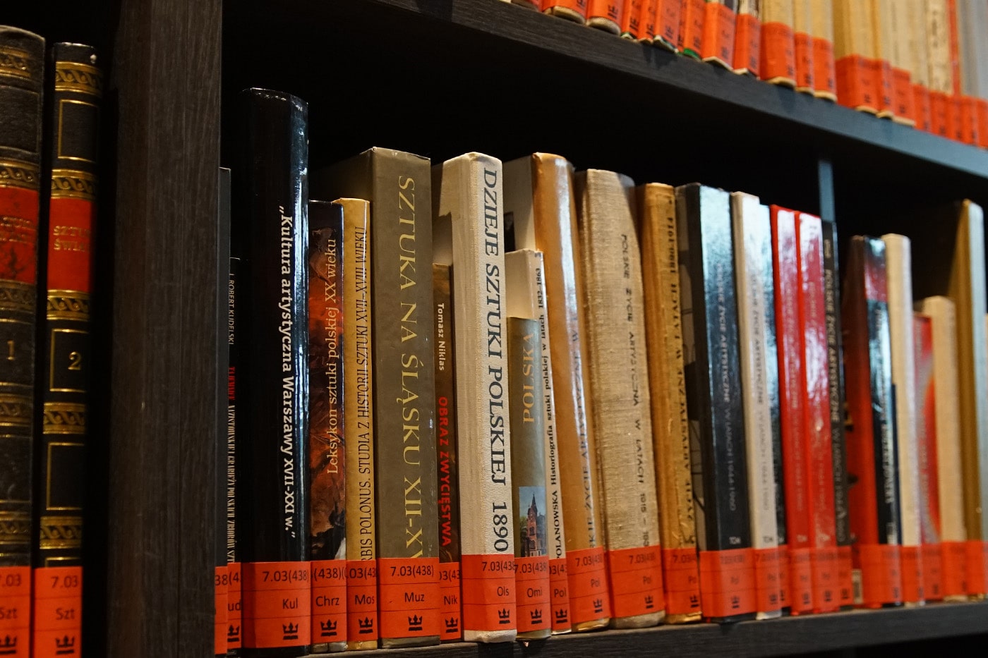 Zastosowanie Deskryptorów Biblioteki Narodowej w katalogowaniu publikacji z historii sztuki