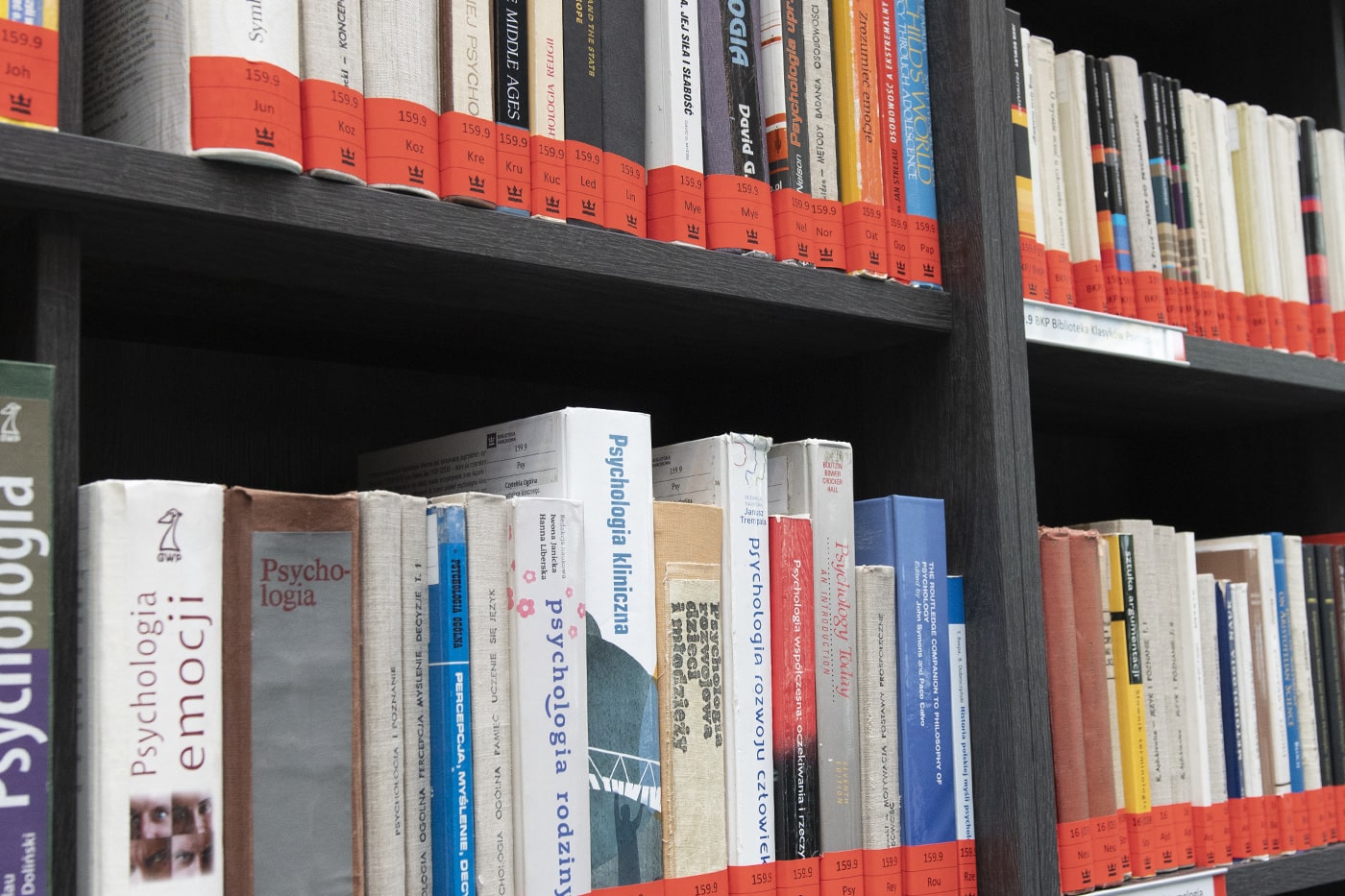 Zastosowanie Deskryptorów Biblioteki Narodowej w katalogowaniu publikacji z zakresu psychologii