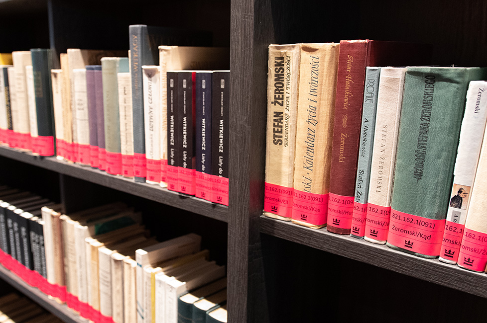 Zastosowanie Deskryptorów Biblioteki Narodowej w katalogowaniu literatury pięknej: zagadnienia ogólne