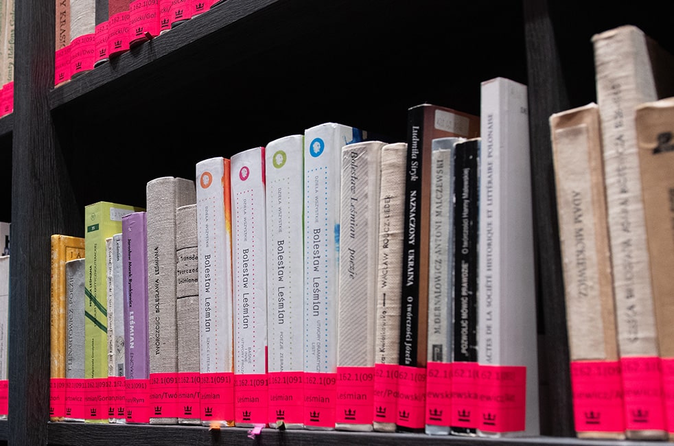 Zastosowanie Deskryptorów Biblioteki Narodowej w katalogowaniu publikacji z literaturoznawstwa