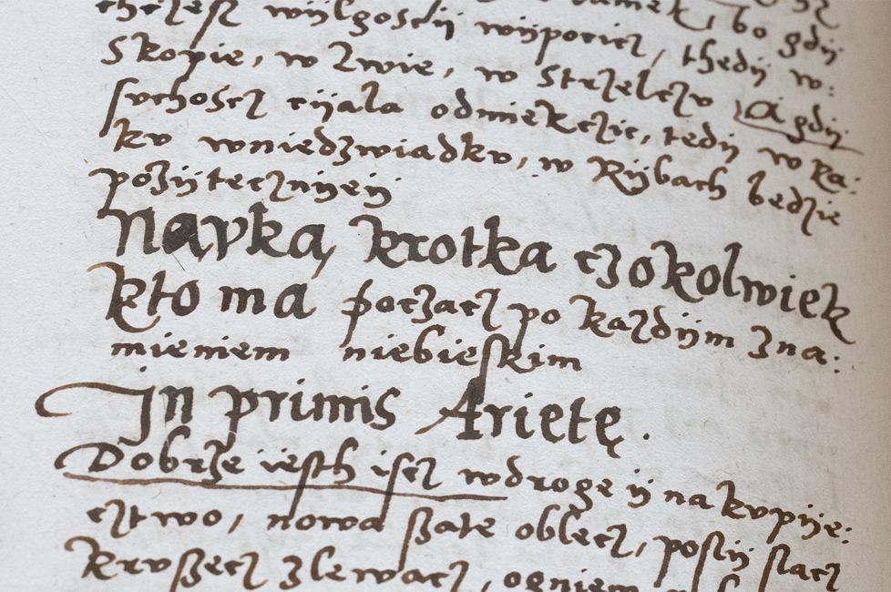 Wykłady i&nbsp;oprowadzanie kuratorskie towarzyszące wystawie czasowej JAM POSEŁKINI JEGO